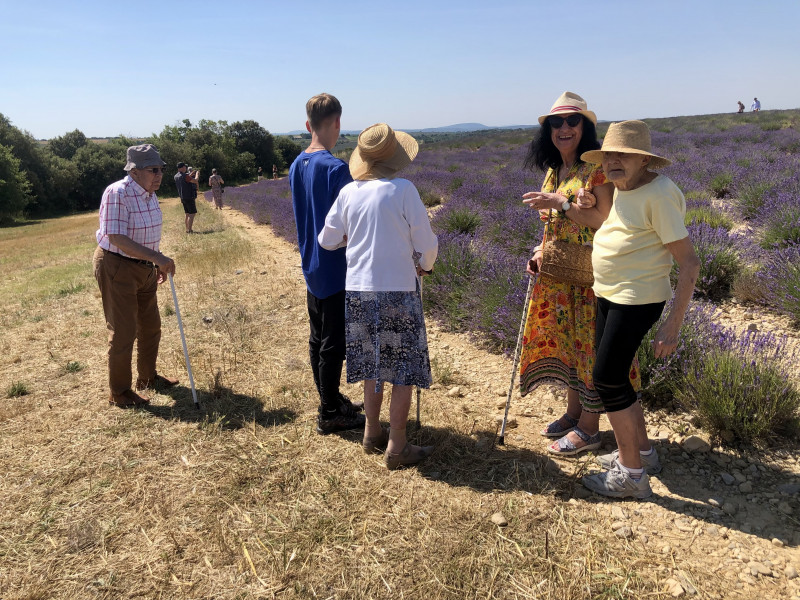 Sortie à Valensole